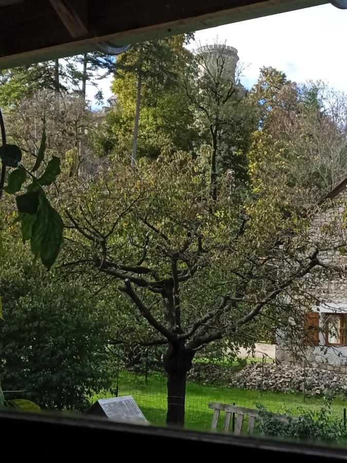 Chez Karine Bed and Breakfast Ceyzerieu Buitenkant foto