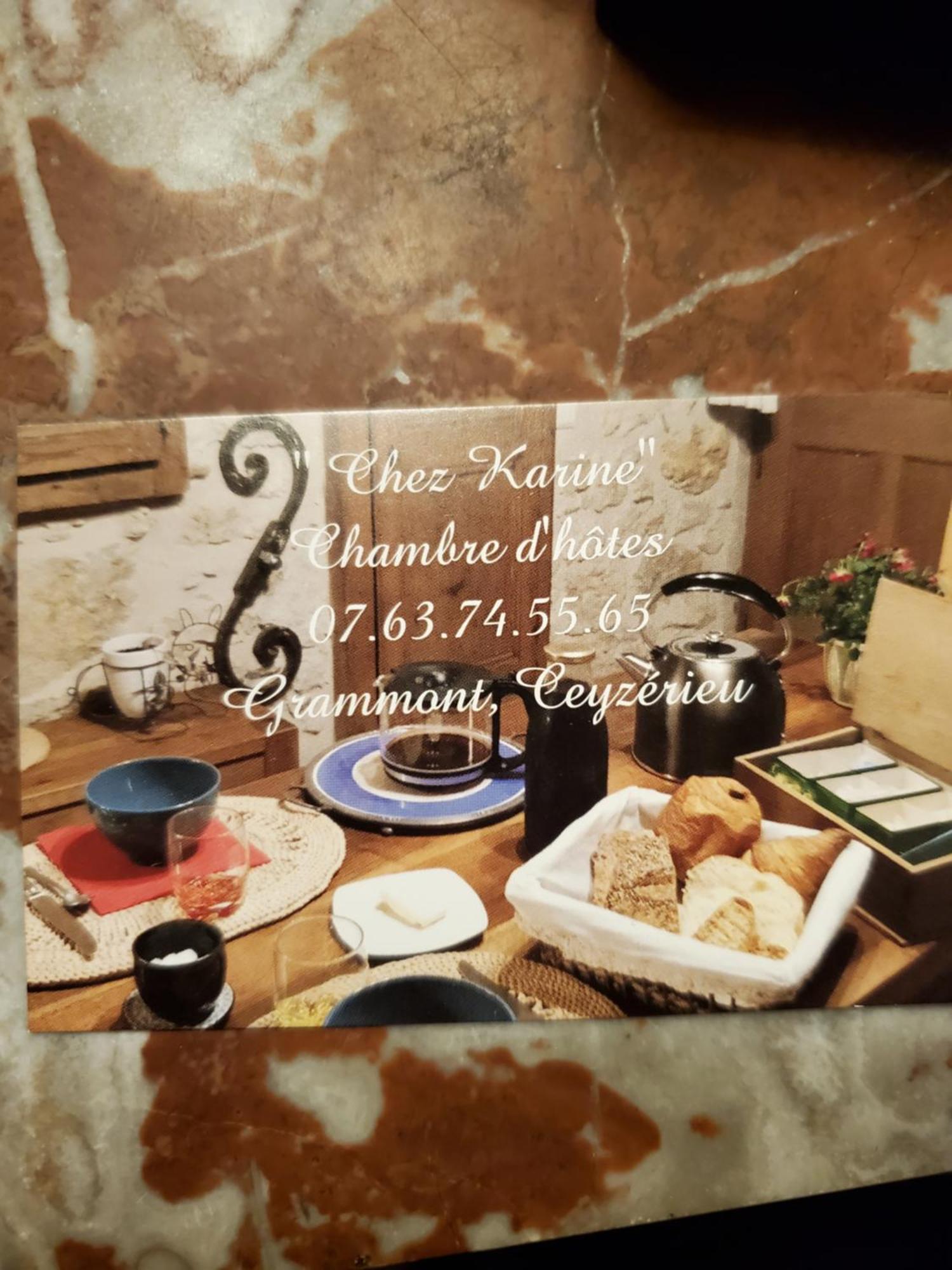 Chez Karine Bed and Breakfast Ceyzerieu Buitenkant foto